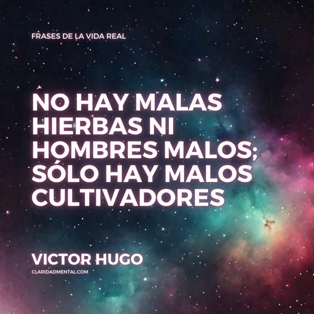 Frases de la vida real