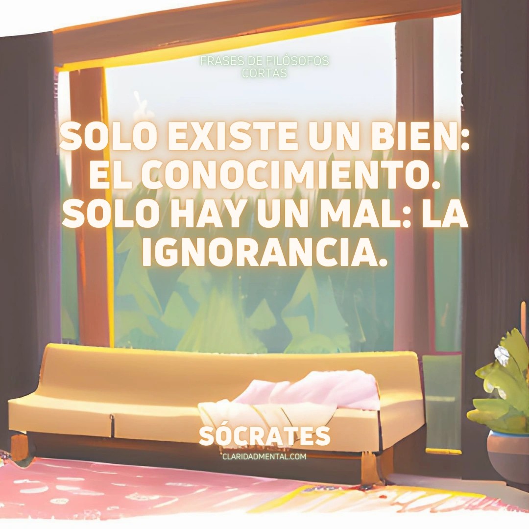 Sócrates: Solo existe un bien: el conocimiento. Solo hay un mal: la ignorancia.