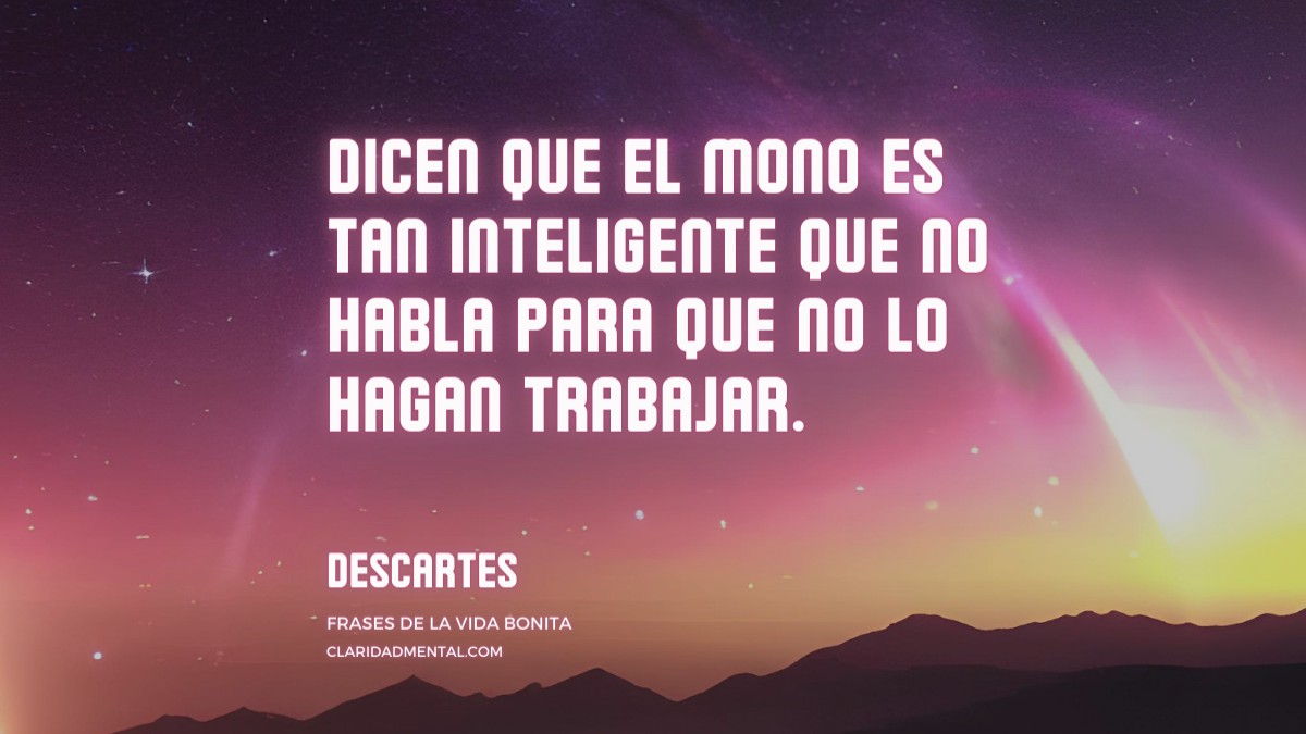 frase de Descartes