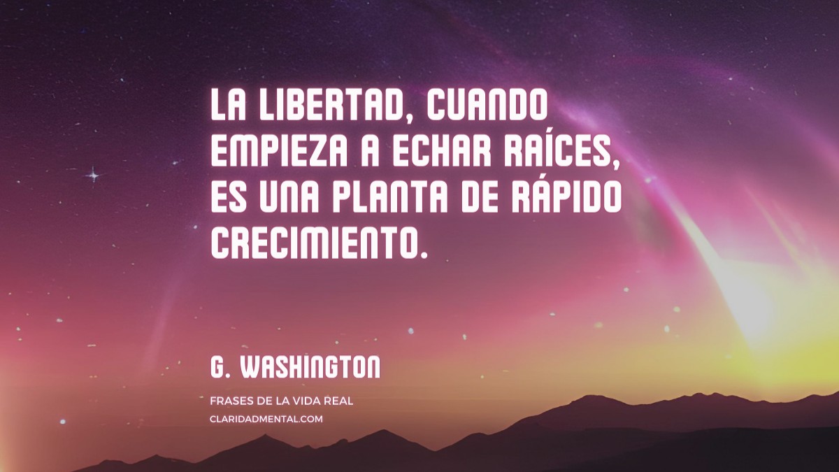 frase de G. Washington