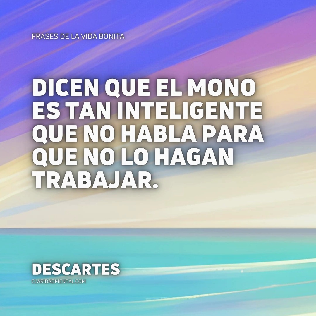 Frases de la vida bonita