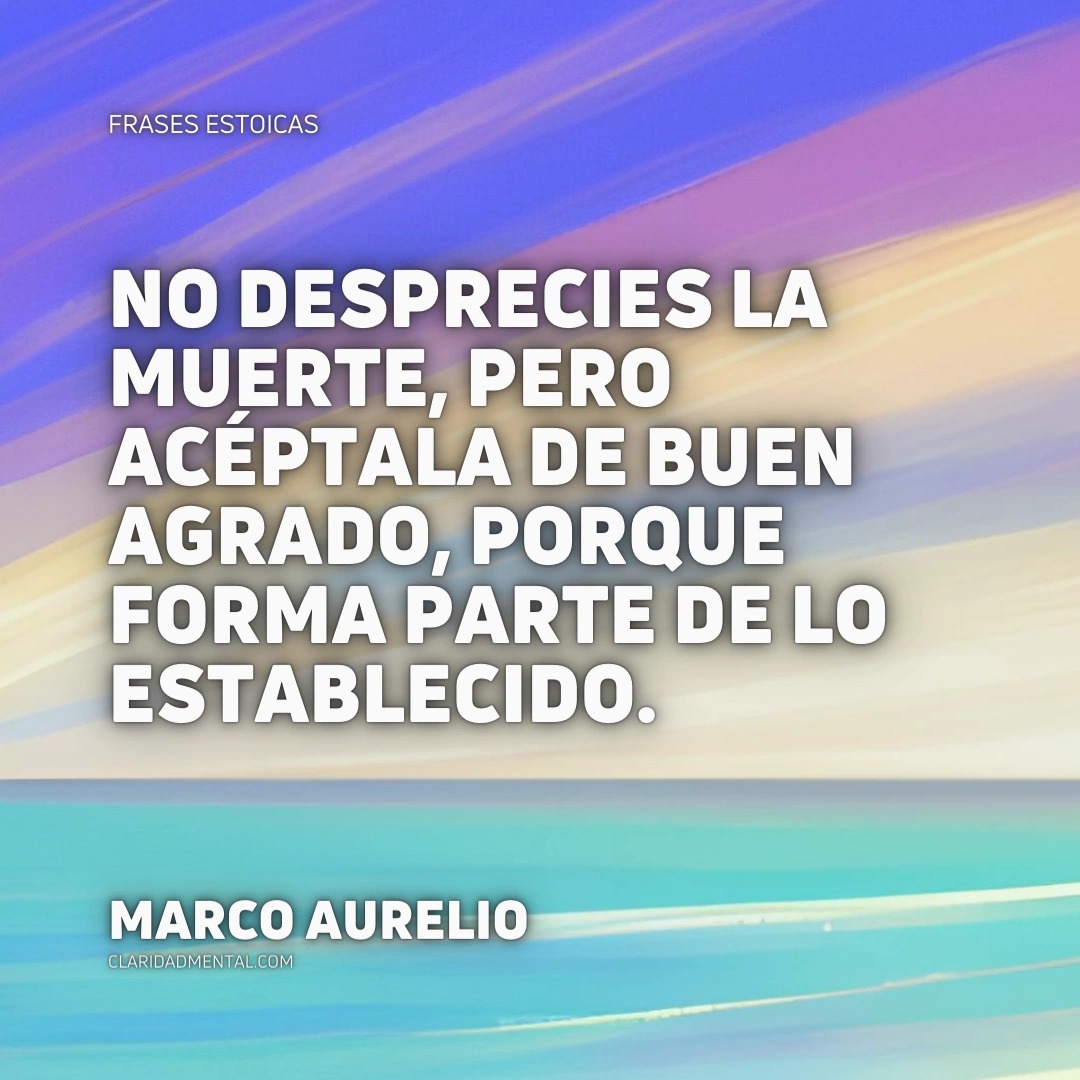 Frases de Vida, Frases Reflexivas, Frases de la vida real