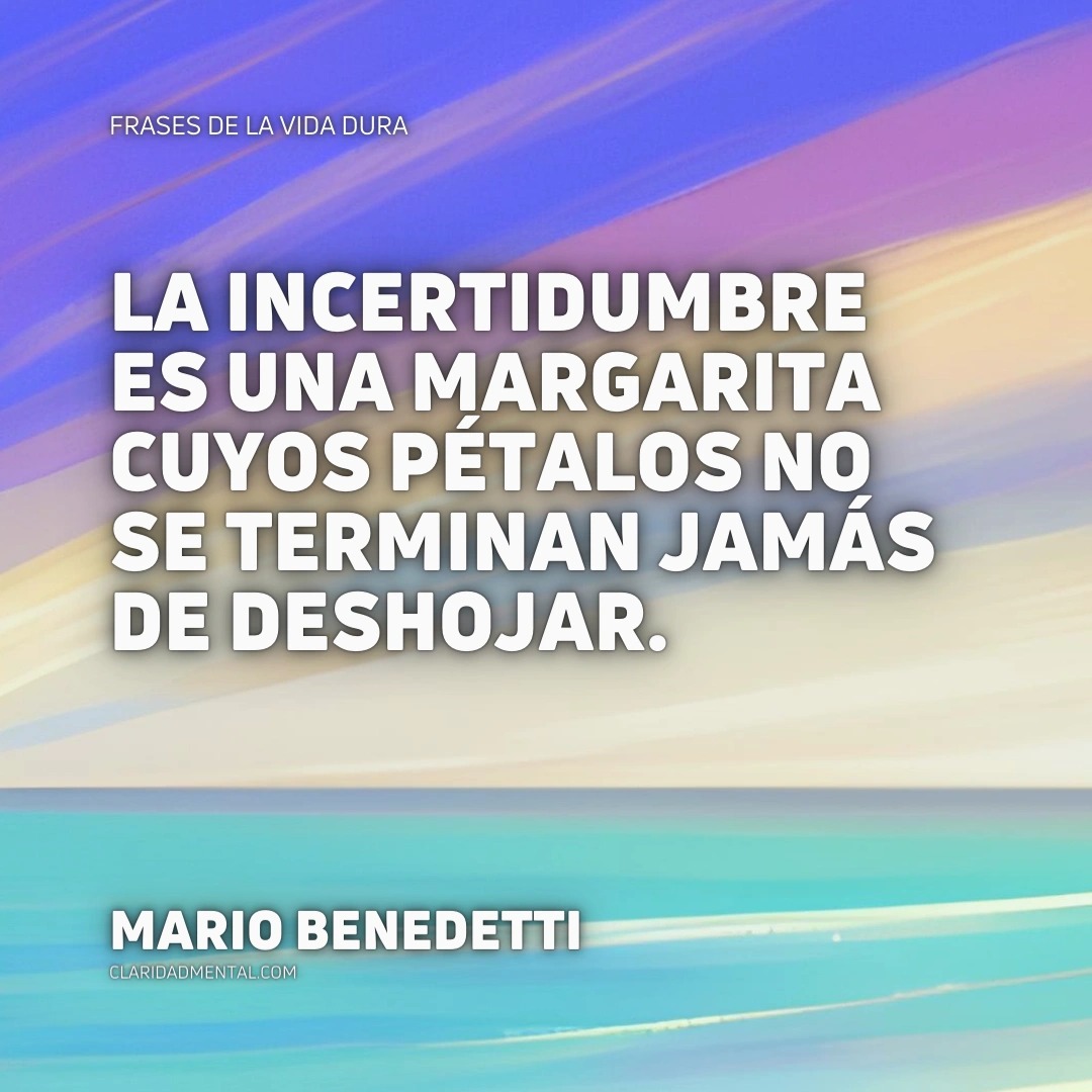 Frases de Vida, Frases Reflexivas, Frases de vivir la vida, Frases de la vida real