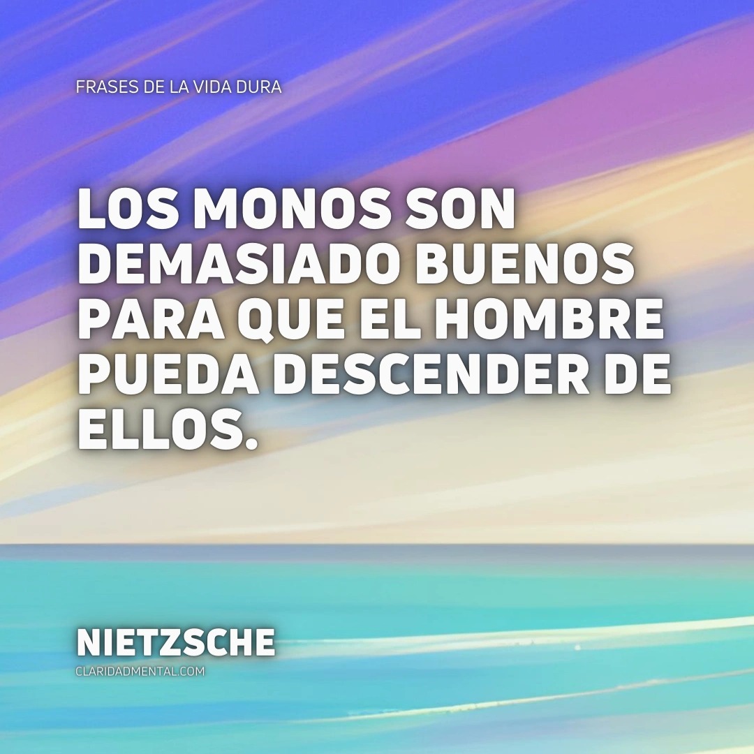 Frases de filósofos cortas, Frases Inspiradoras