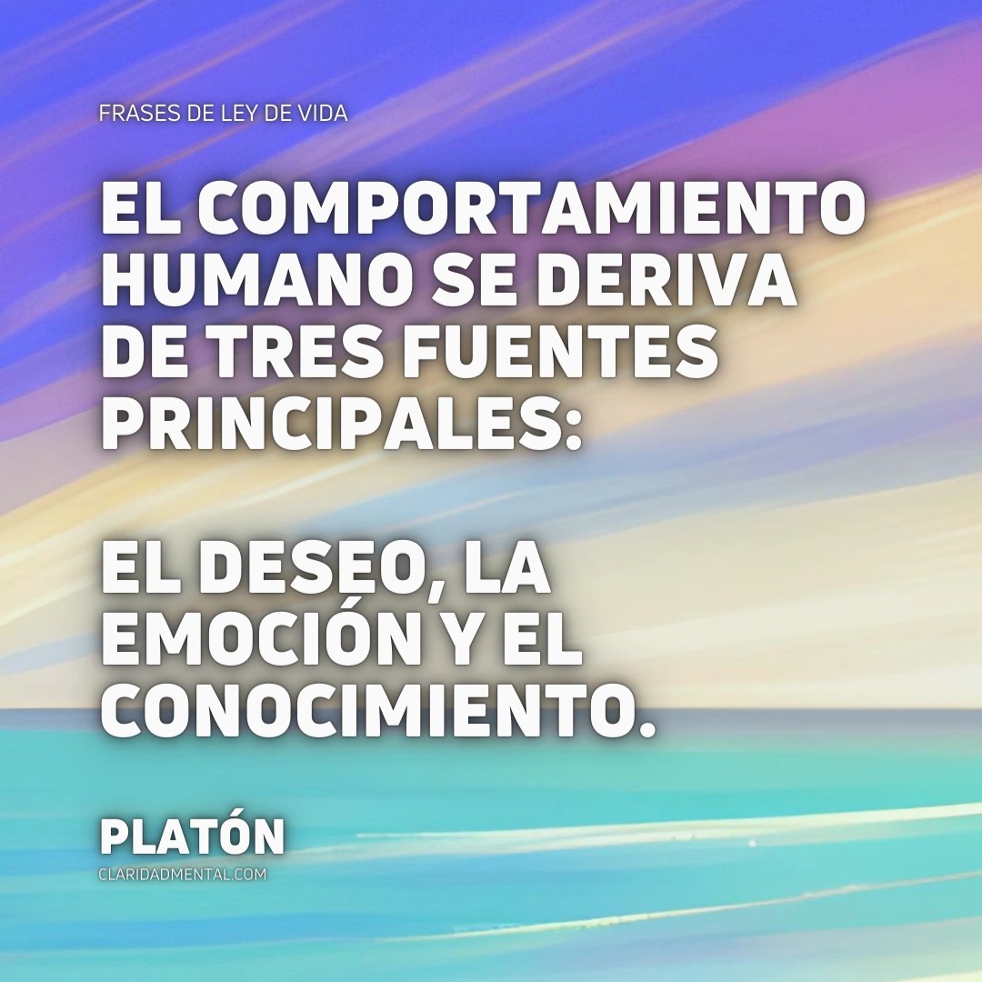 Frases de Vida, Frases Reflexivas, Frases de la vida real