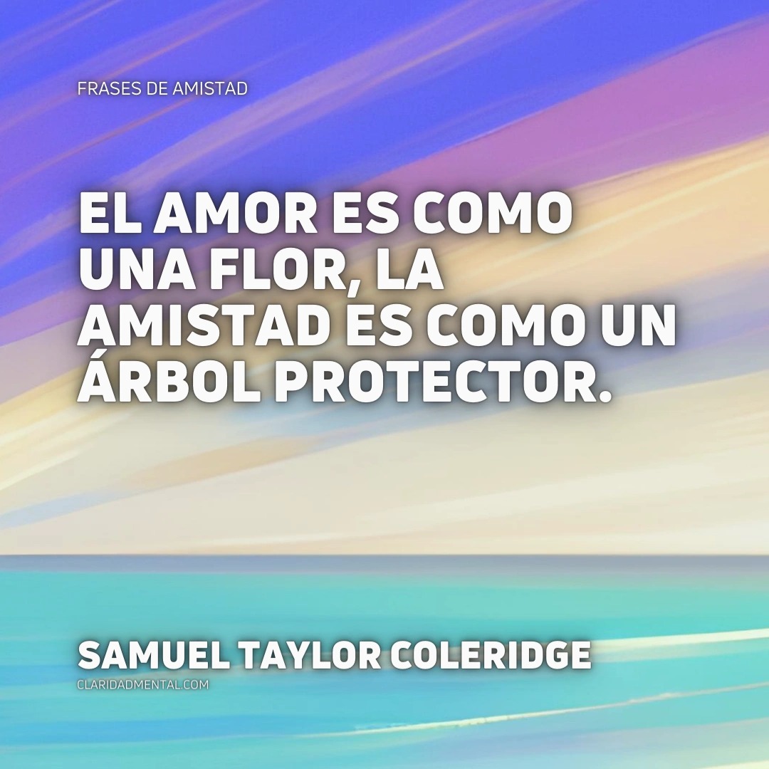 Frases de la vida real, Frases Reflexivas, Frases de amistad incondicional, Frases de amistad, Frases de Vida