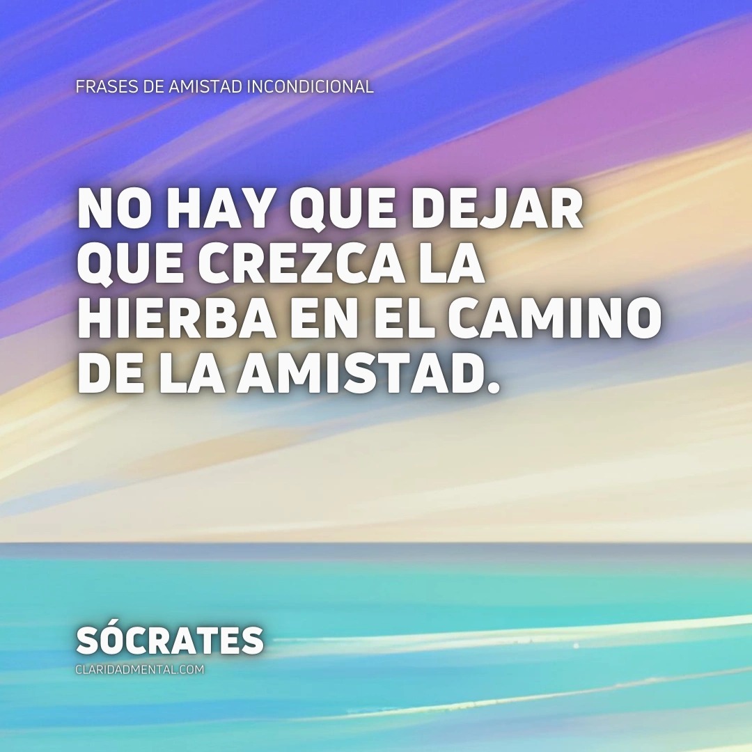 Frases de amistad incondicional, Frases de amistad