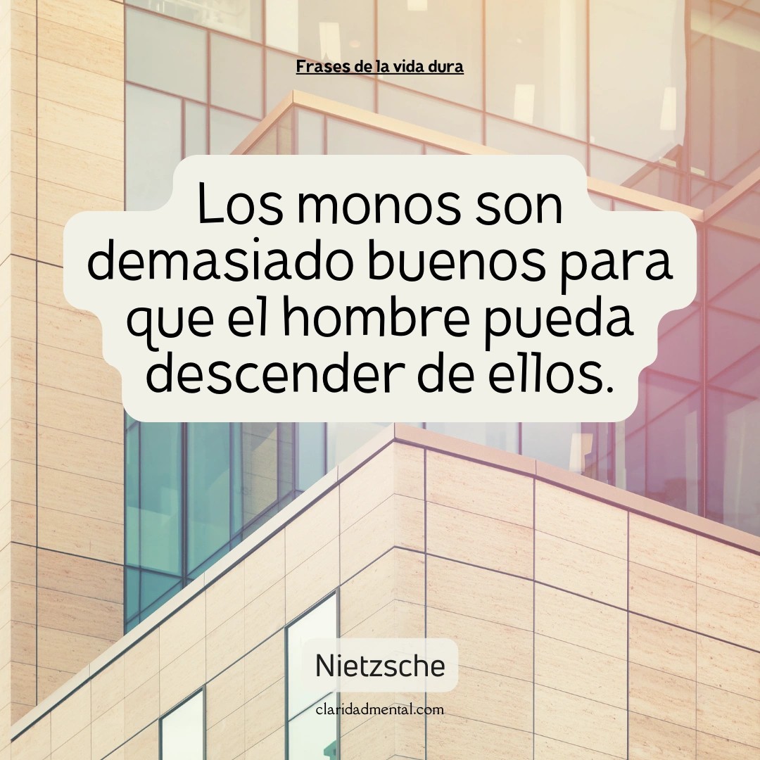 Nietzsche: Los monos son demasiado buenos para que el hombre pueda descender de ellos.