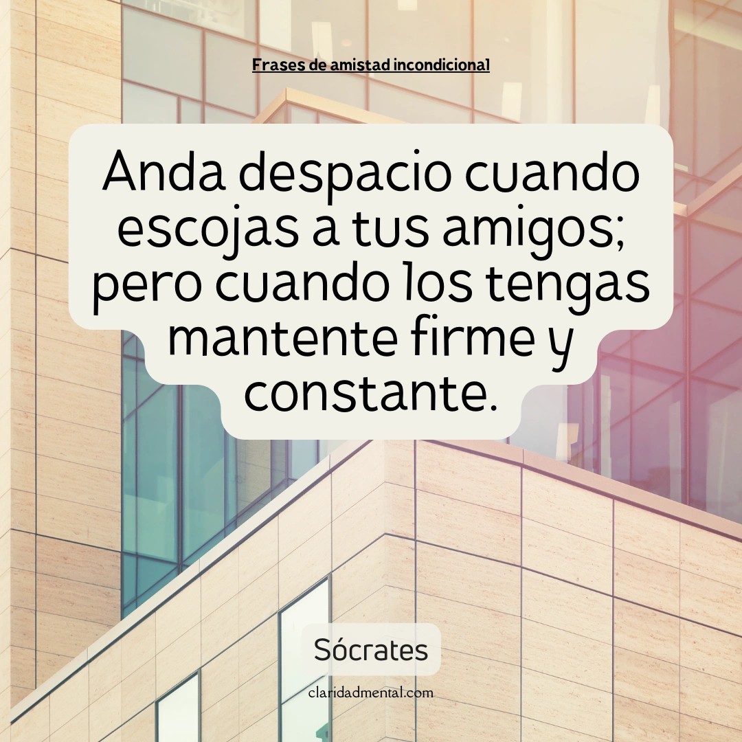 Sócrates: Anda despacio cuando escojas a tus amigos; pero cuando los tengas mantente firme y constante.