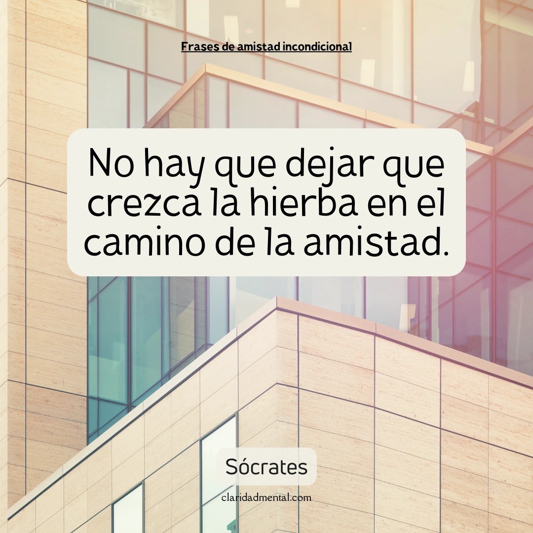 Sócrates: No hay que dejar que crezca la hierba en el camino de la amistad.