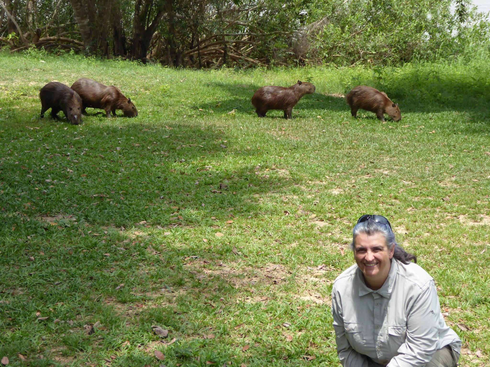 Wasserschwein Monica