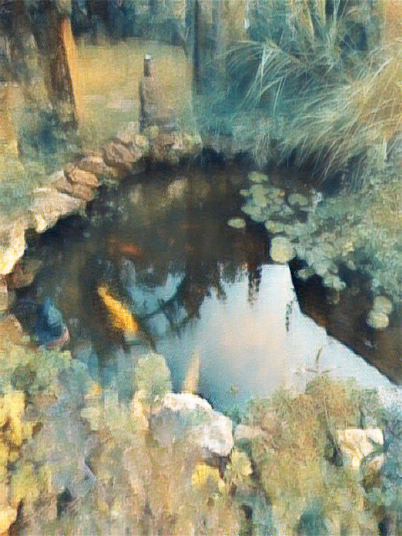 There Is A Way Of Seeing The World Different