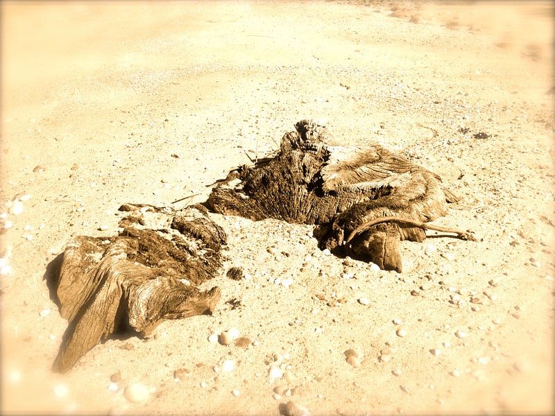 Plato On The Necessarily Nondual Nature Of Reality