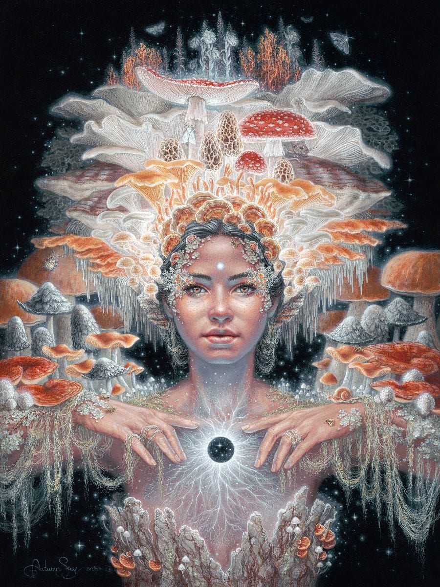 Why We Continue To Be Confused About Consciousness