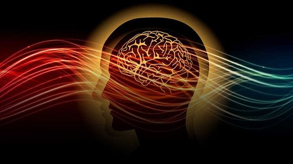 Every Artist Knows The Truth