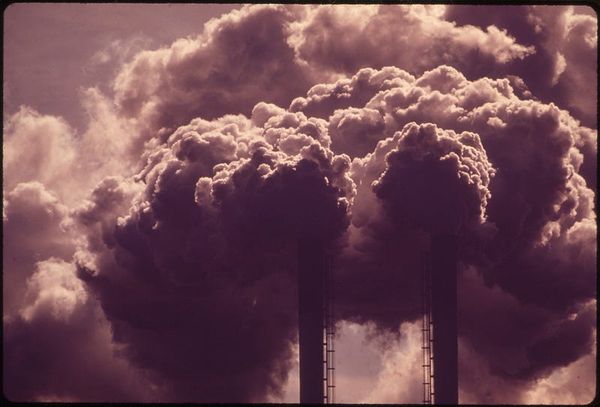 Commonplace Malevolence