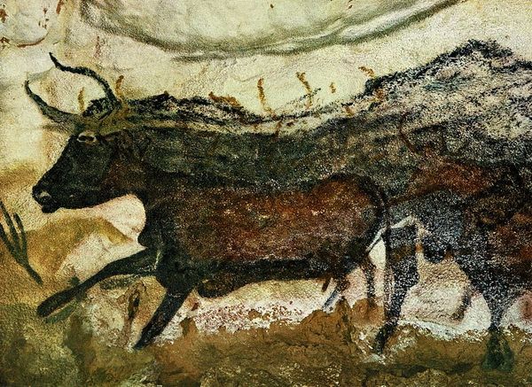 The Experience of Fluid Motion in Films and Videos Suggests a New Theory of Consciousness