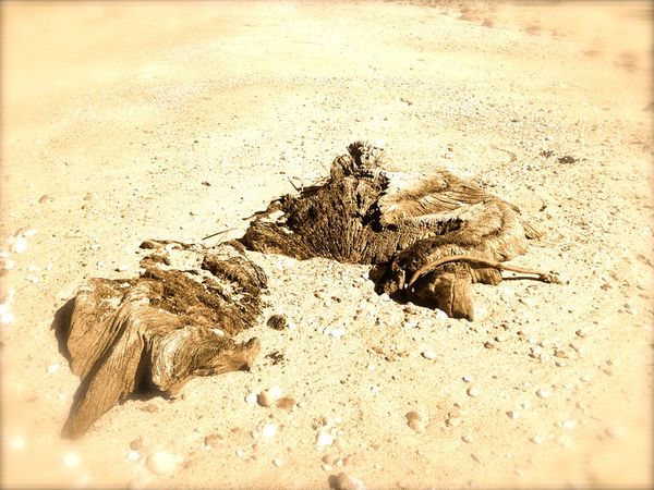 Plato On The Necessarily Nondual Nature Of Reality