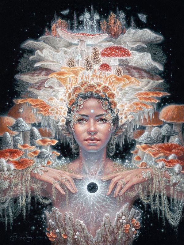 Why We Continue To Be Confused About Consciousness