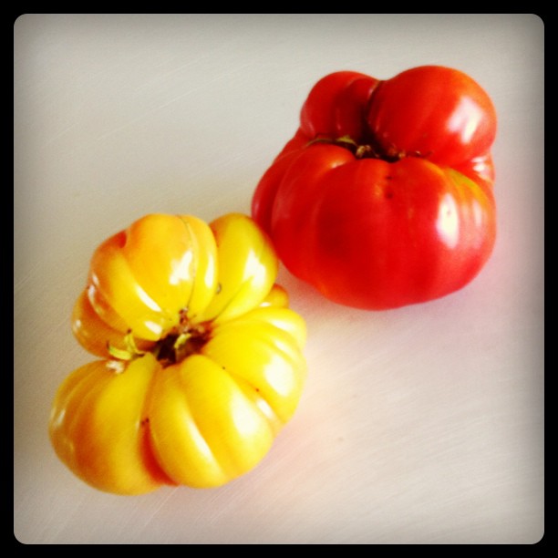 Big Rainbow heirloom tomato on the left. Mariana’s Peace on the right.  (Taken with instagram)