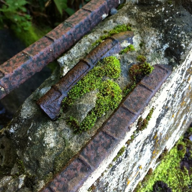 Bridge rail (Taken with instagram)