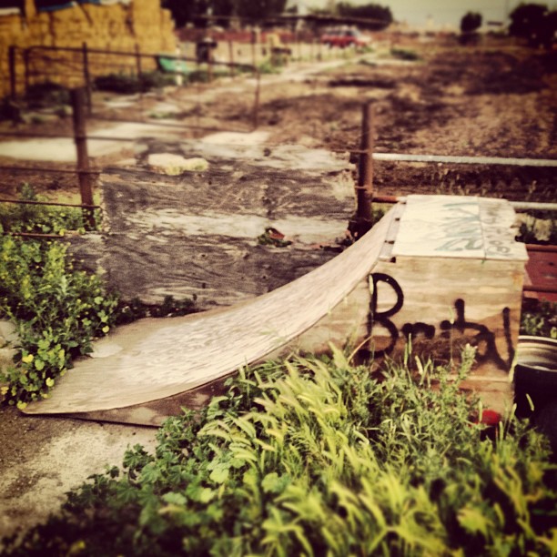 Brutal ramp bro (Taken with Instagram at Amy’s Farm)