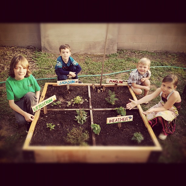 The children’s garden (Taken with instagram)