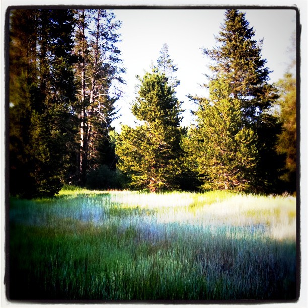 We had an epic mountain bike ride today down to the meadow where half of the Donner Party was stranded and resulted in cannibalism.  (Taken with instagram)