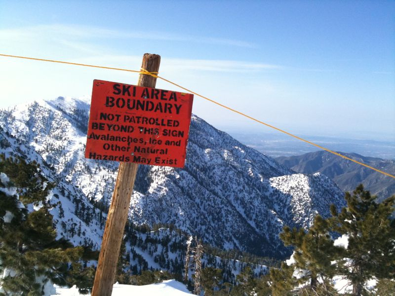 Baldy on Valentine’s Day