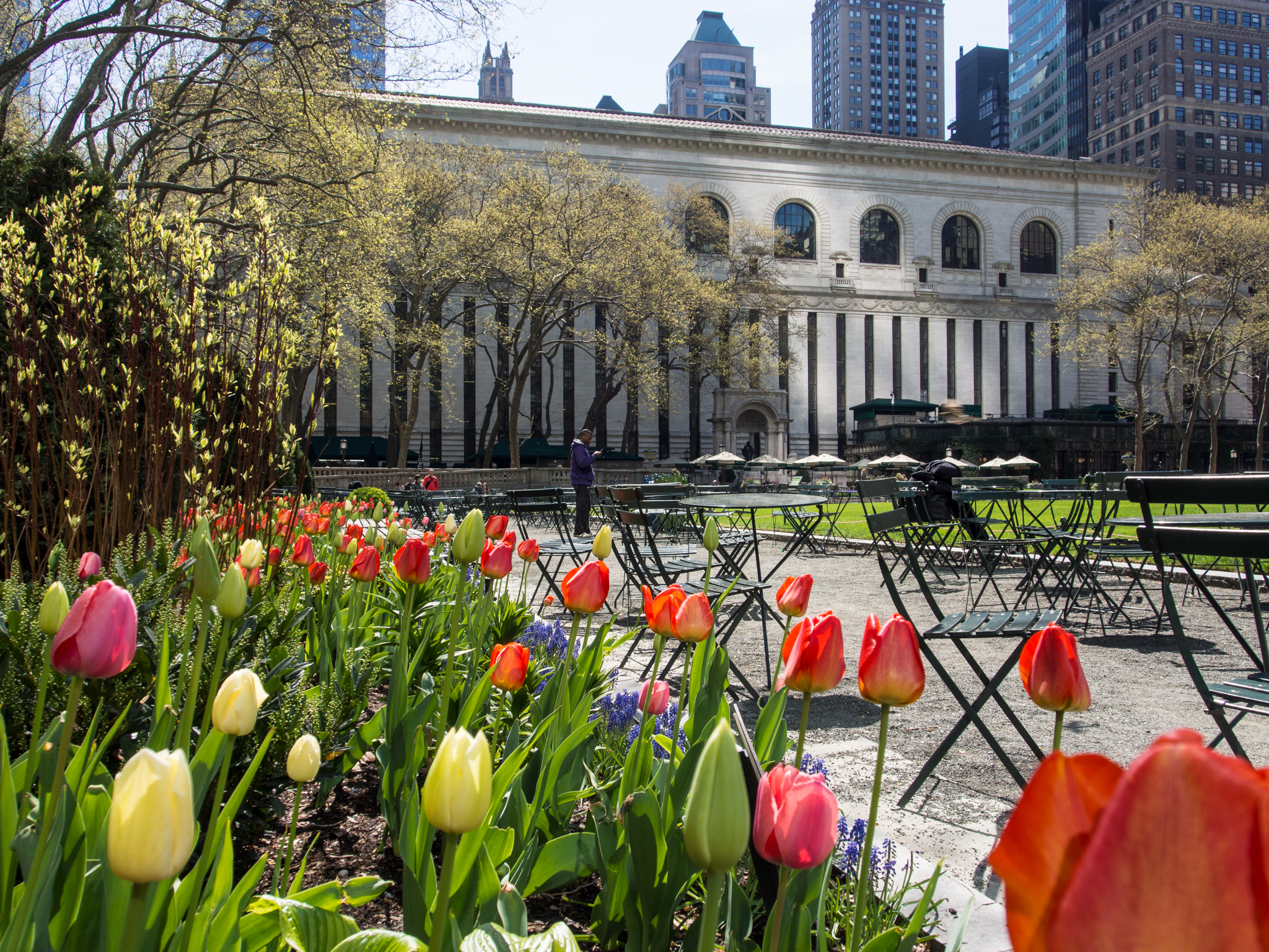 NYC Library