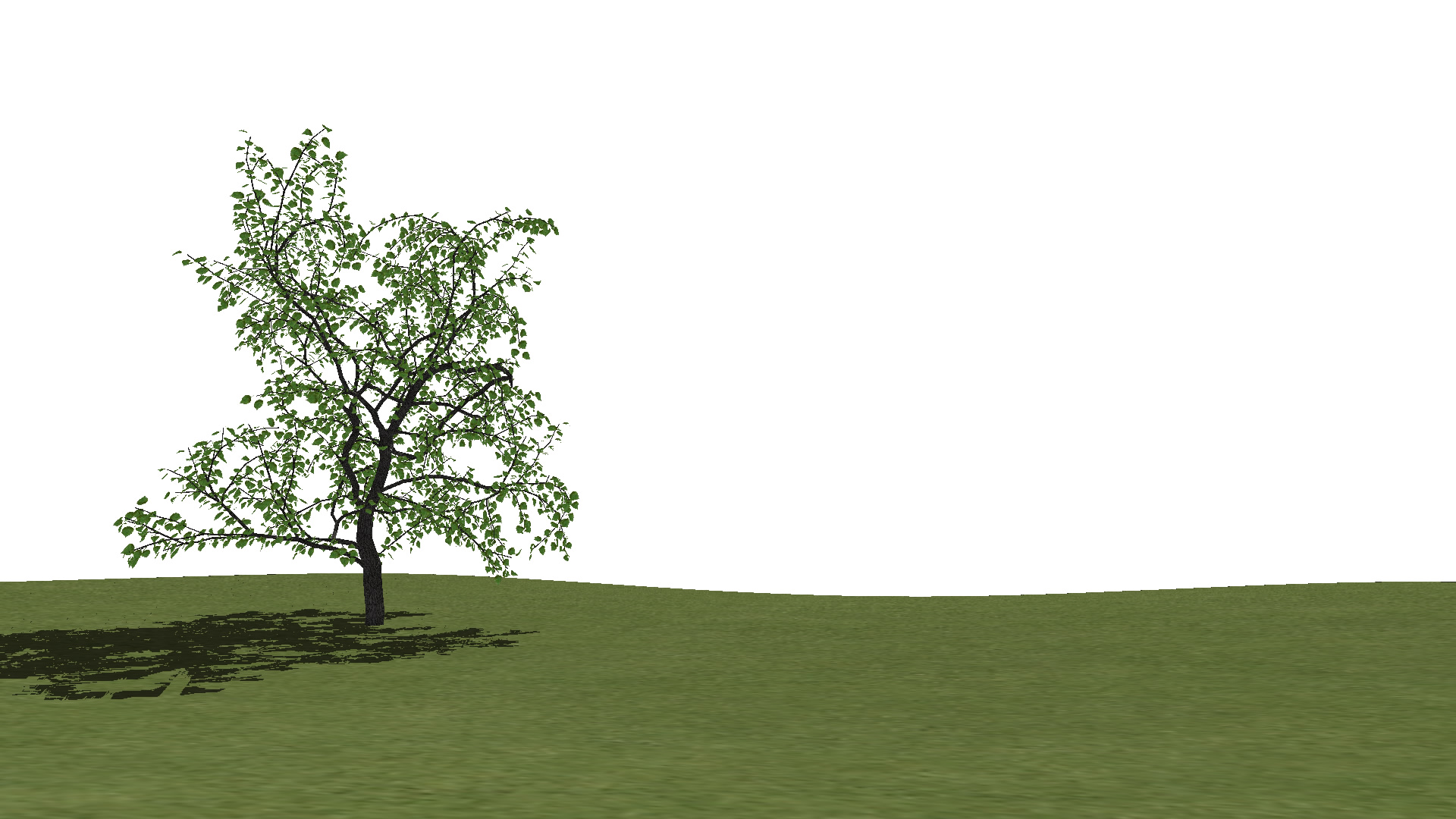 shaded with shadows & environment