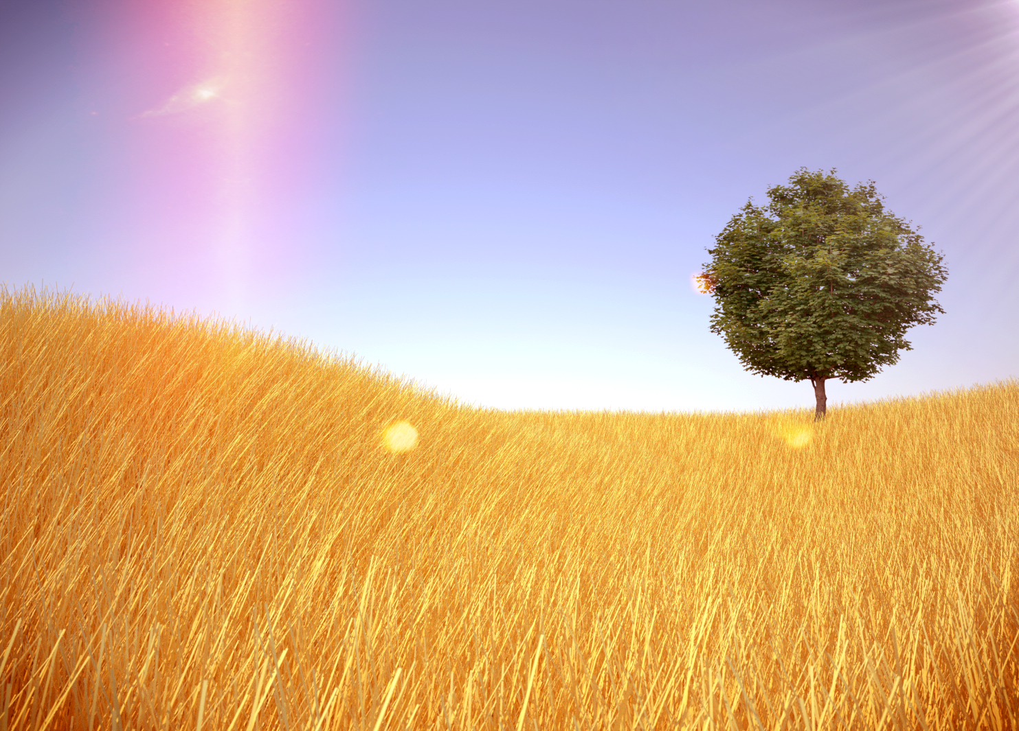 straw hills tree.jpg