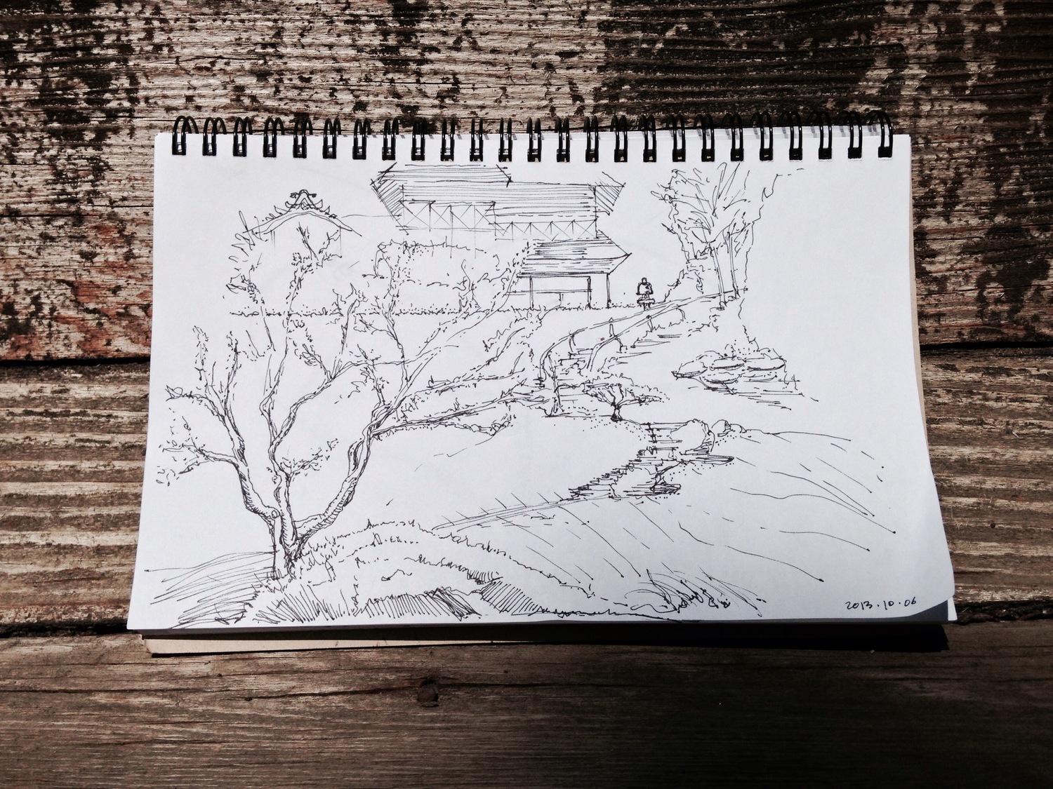 Japanese Gardens at the Huntington in Pasadena, CA.© 2013, Evan Troxel. All rights reserved.