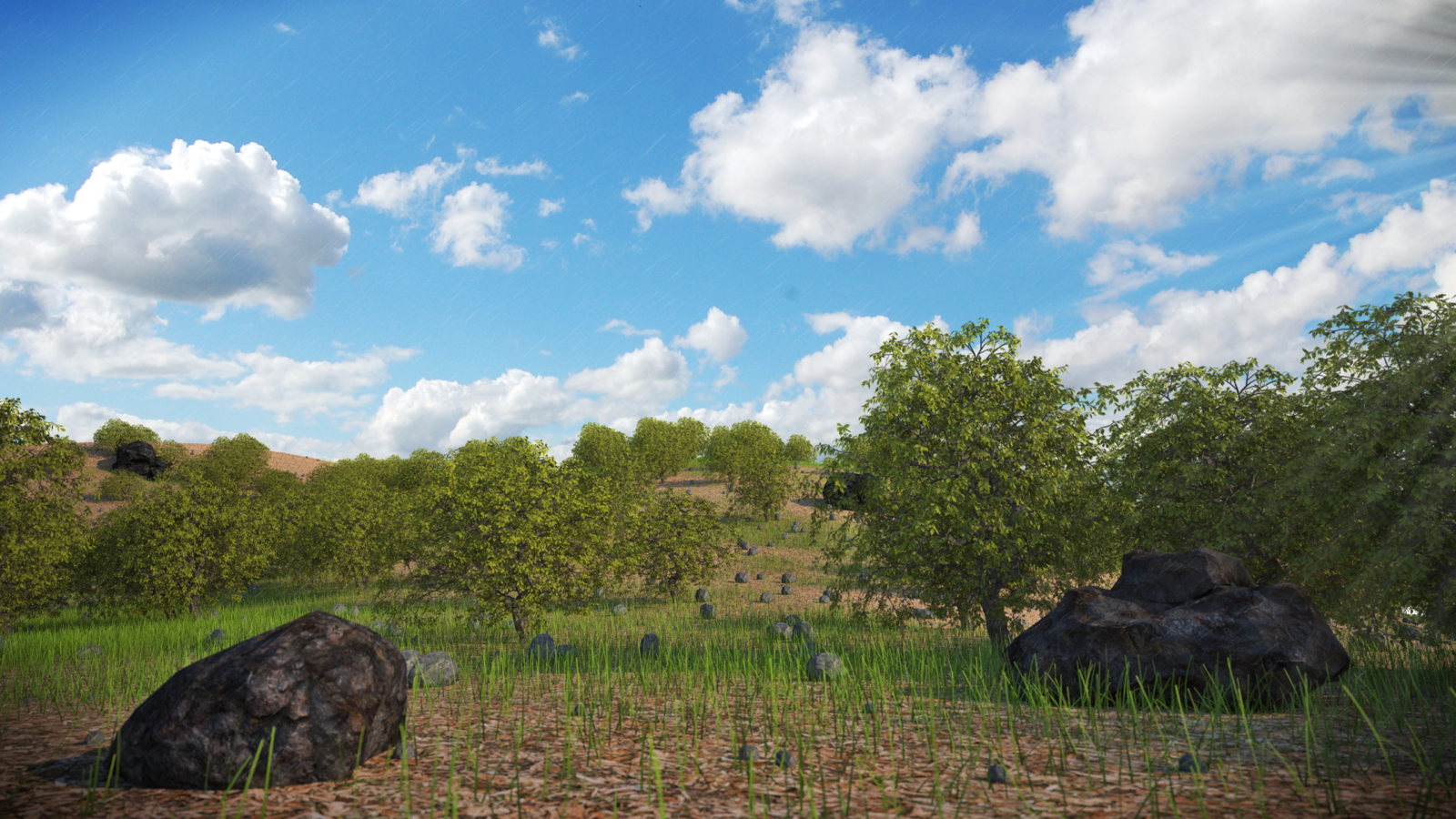 rocks and grass and trees copy_1600.png