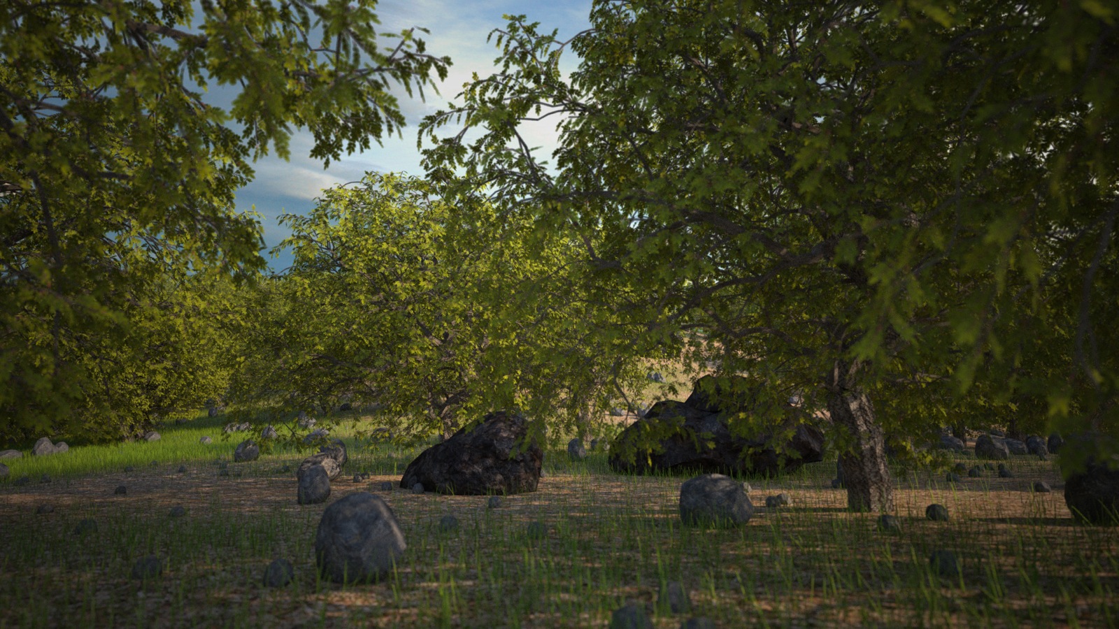 tree-scatter-noview-3b copy_1600.jpg