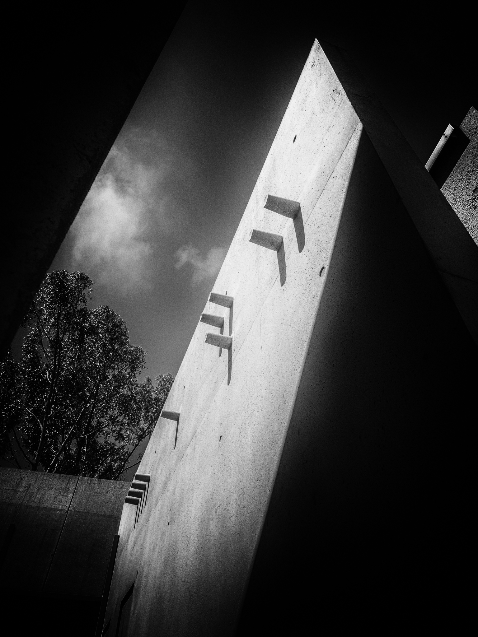P8160014-Edit-2-3.jpg
