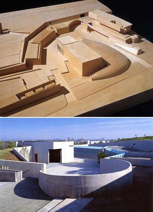 NSI model