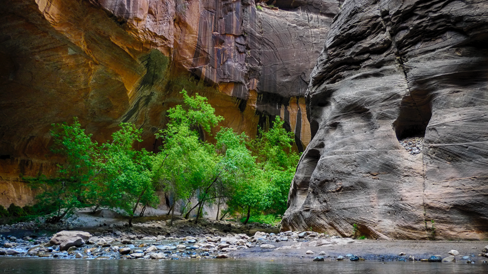 P1010921_HDR copy_1600.png