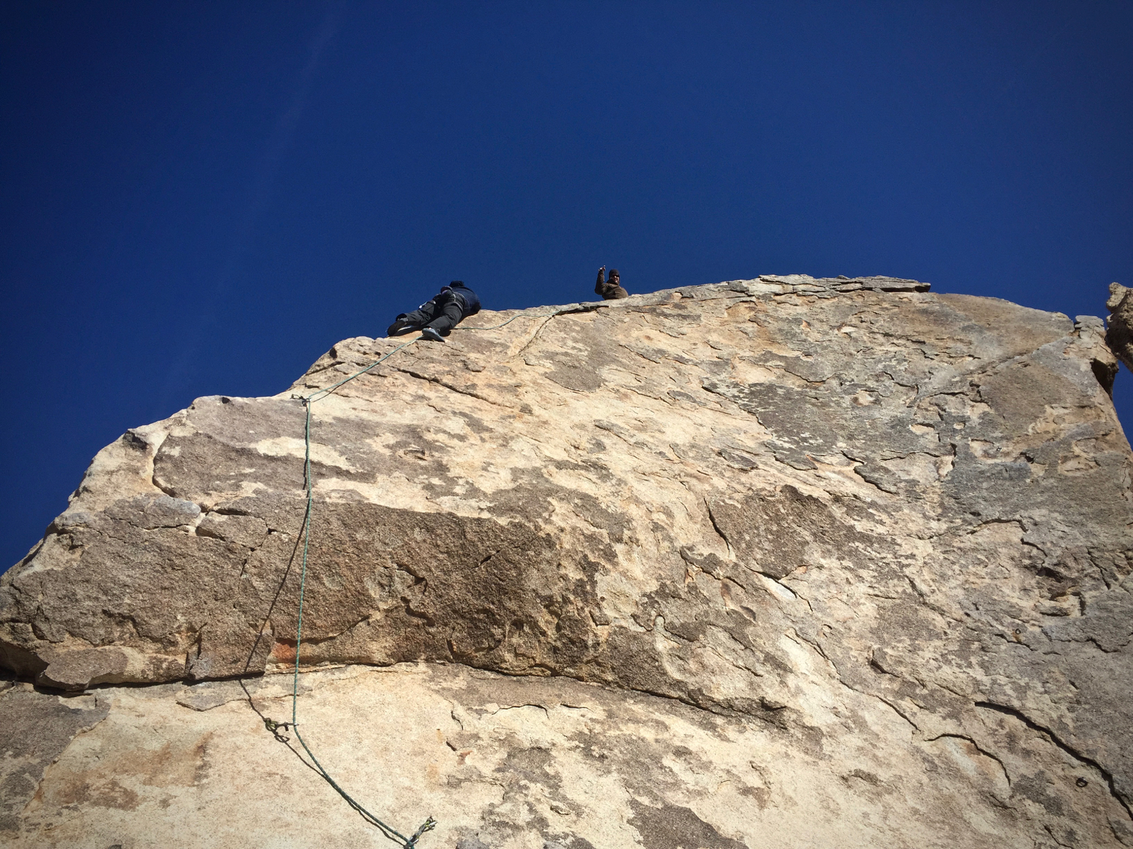 2016-04-15 jtree - 2.jpg