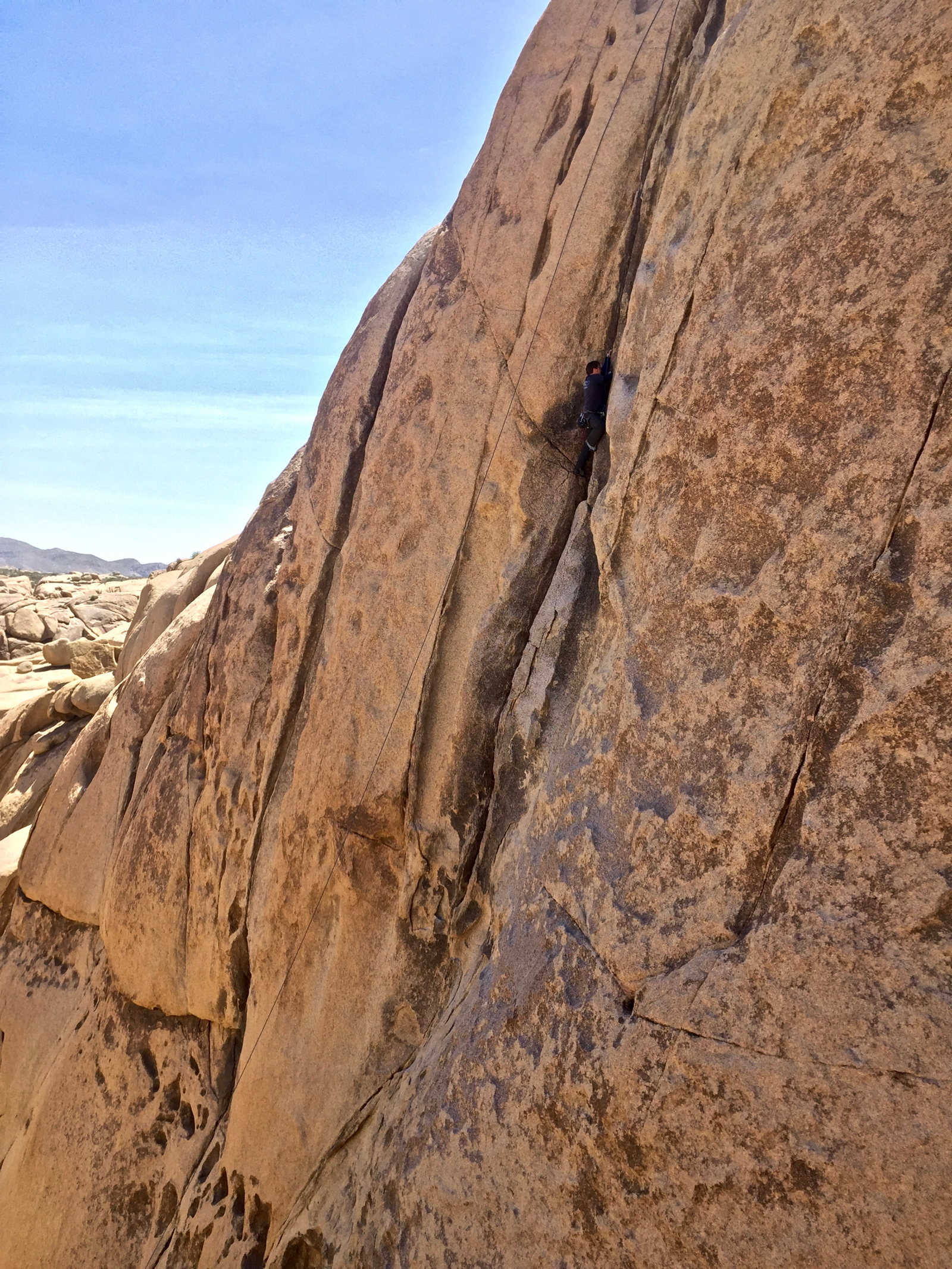 2016-04-15 jtree - 6.jpg