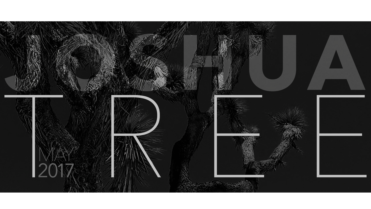 ✱ Joshua Tree Climbing – May 2017