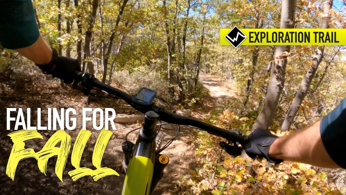 ✱ TRXL MTB – This is One BEAUTIFUL Trail