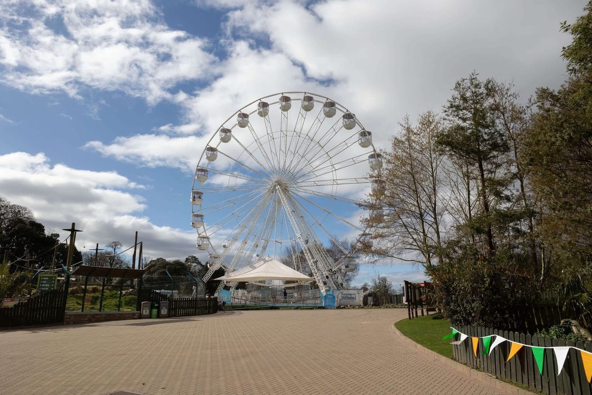 Fota Wildlife Park Launches 35-Metre-High Panoramic Wheel for Spectacular Views