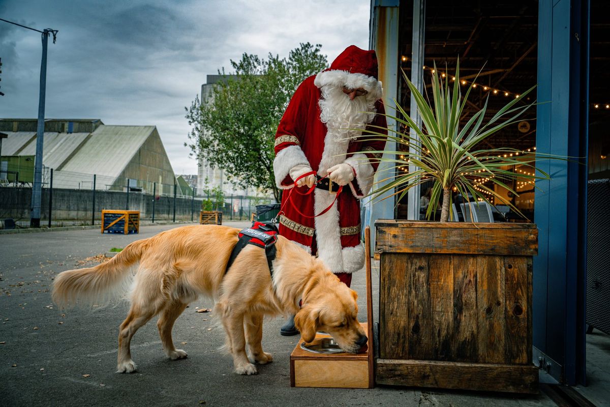 Santa Paws Comes to Cork as Marina Market's Christmas Experience Goes Dog-Friendly