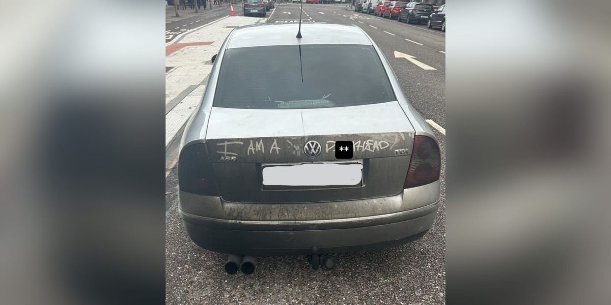 Learner Driver's Car Seized After Mobile Phone Use and Multiple Defects in Cork City