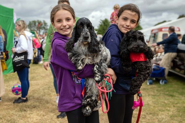 Over €1 Million in Funding Announced for 123 Agricultural Shows Across Ireland