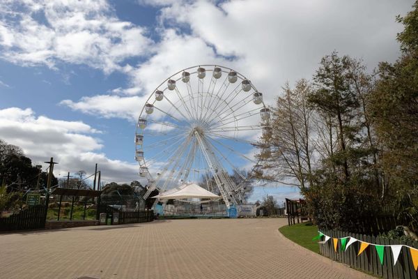 Fota Wildlife Park Launches 35-Metre-High Panoramic Wheel for Spectacular Views