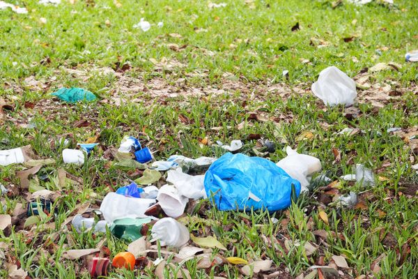 Cork County Council Launch Litter Clean Up Challenge