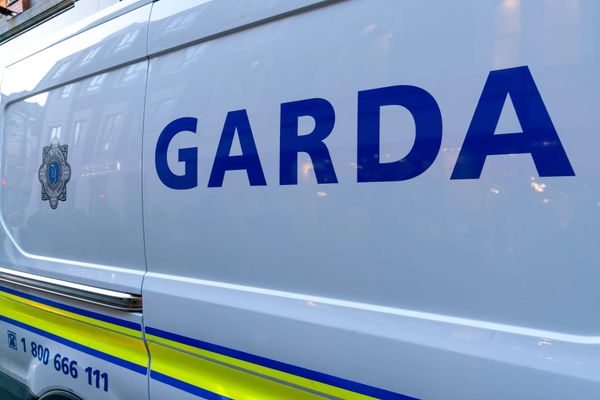 Arrest and Court Appearance: Armed Robbery - Broadale