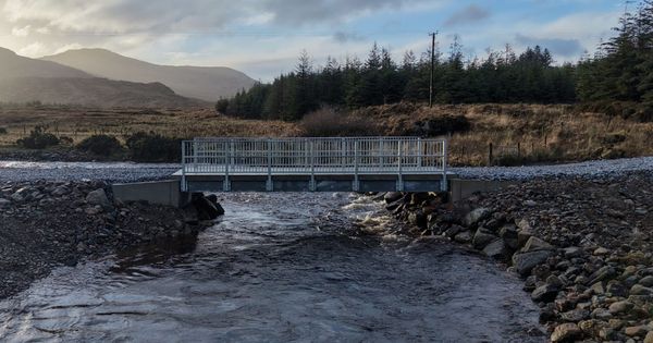 Four Cork River Projects Share Over €590,000 to Remove Barriers to Fish Migration